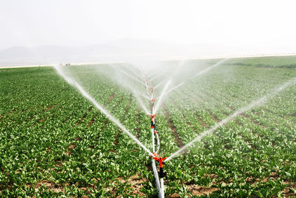 Irrigation d'une culture