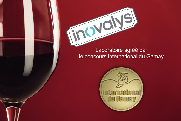 affiche concours international du gamay