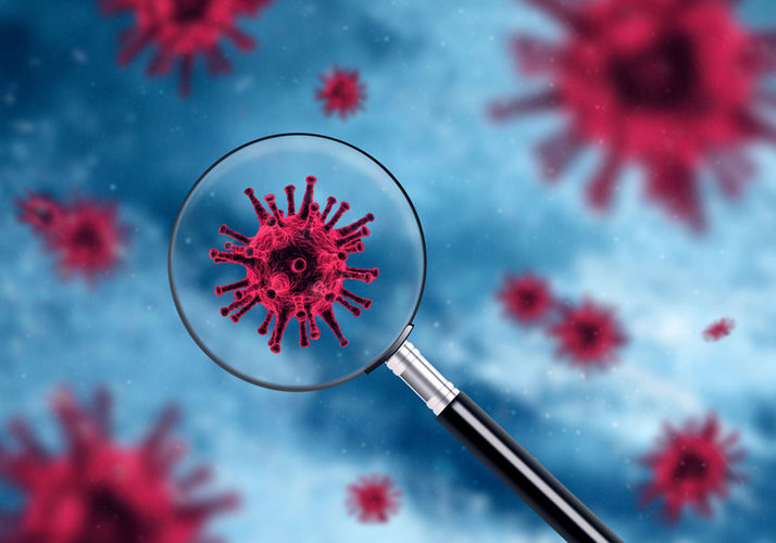 coronavirus