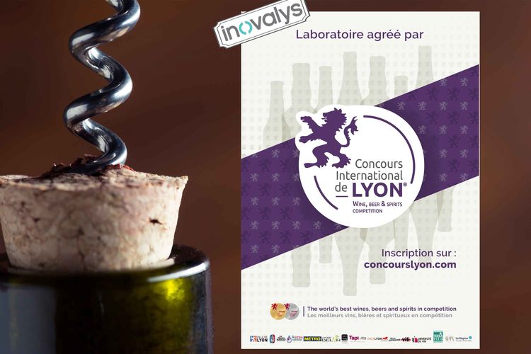 affiche concours international de Lyon