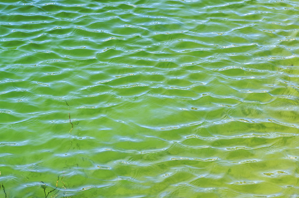 eau verte