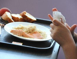 plateau repas